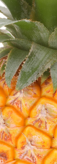 Piña