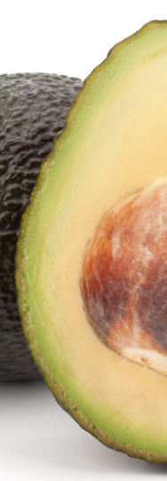 Aguacate