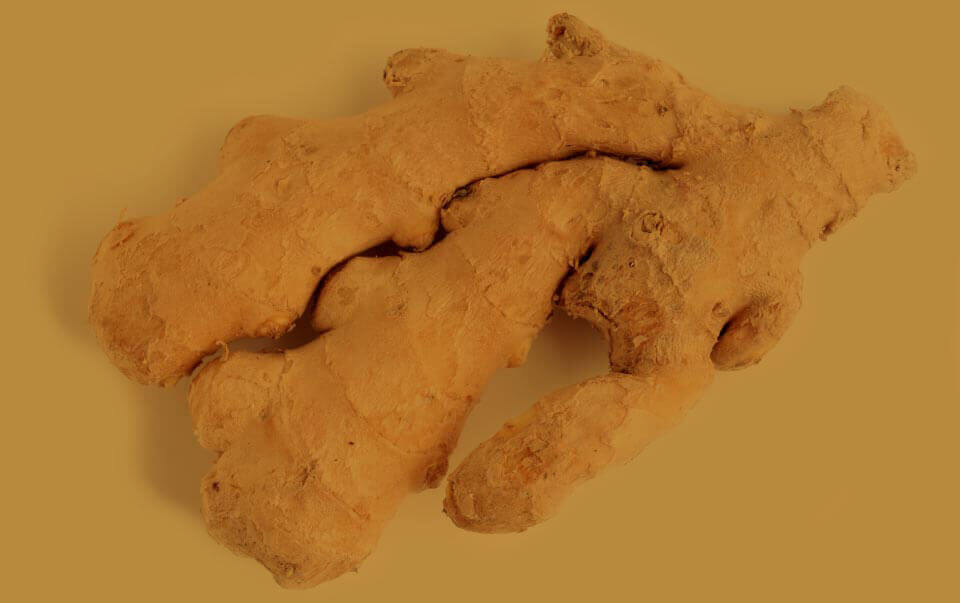 Jengibre