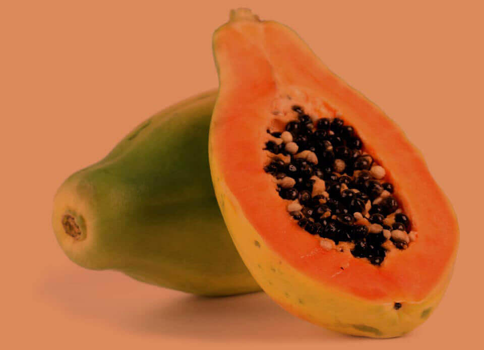 Papaya
